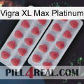 Vigra Xl Max Platinum 19